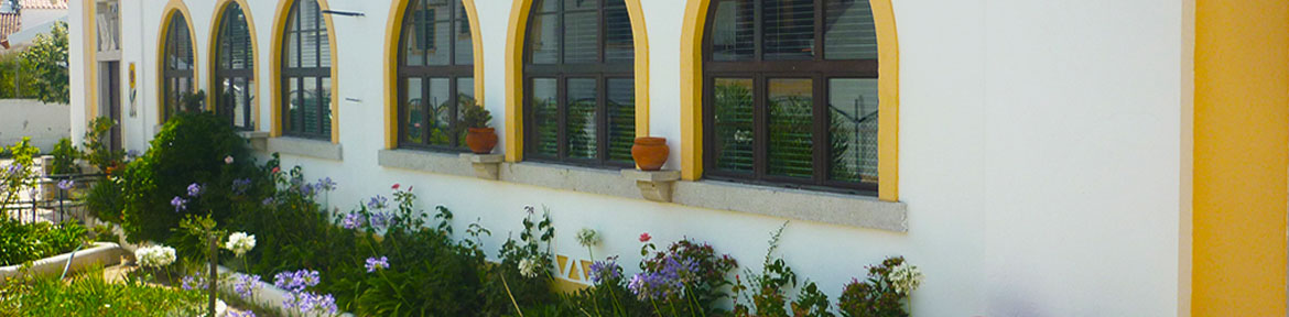 Agrupamento de Escolas Vale Aveiras